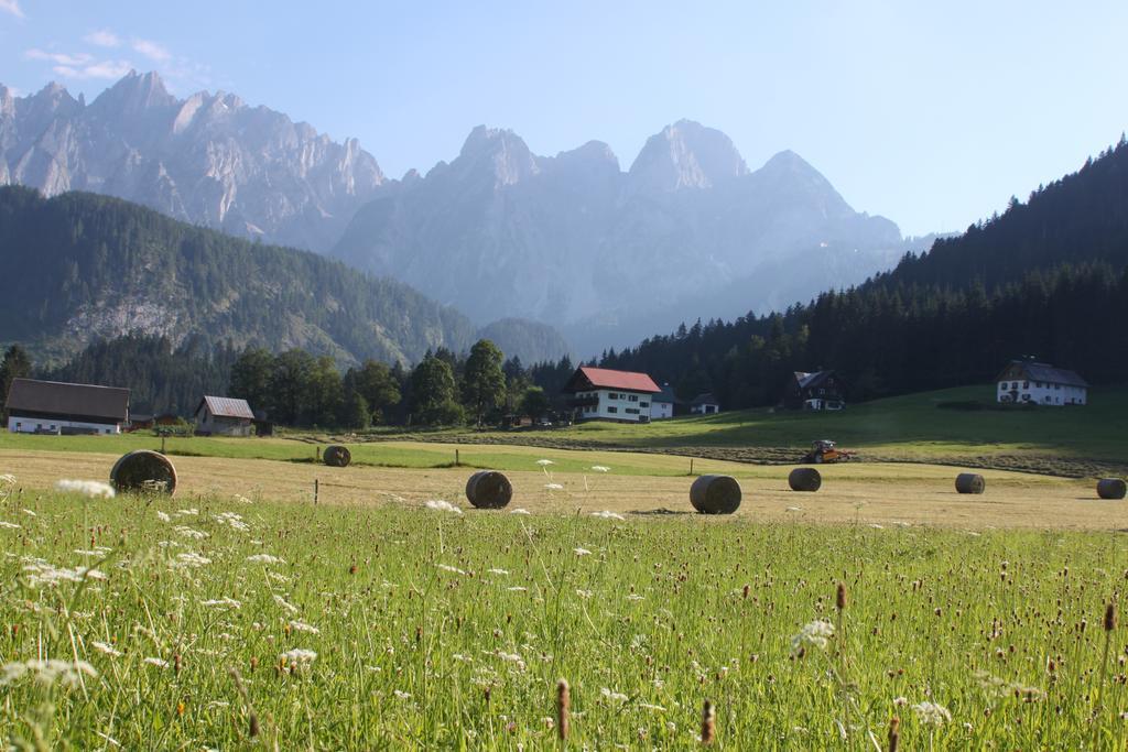 Muhlradl Apartments Gosau Room photo