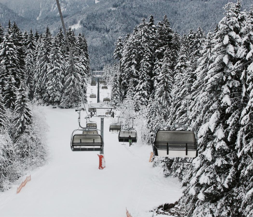 Muhlradl Apartments Gosau Exterior photo